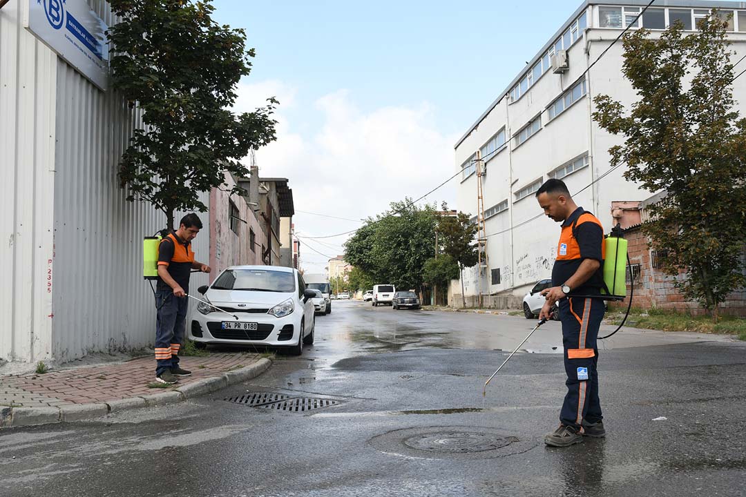 Pendik Belediyesi'nden sivrisinekle mücadeleye geceli gündüzlü önlem!