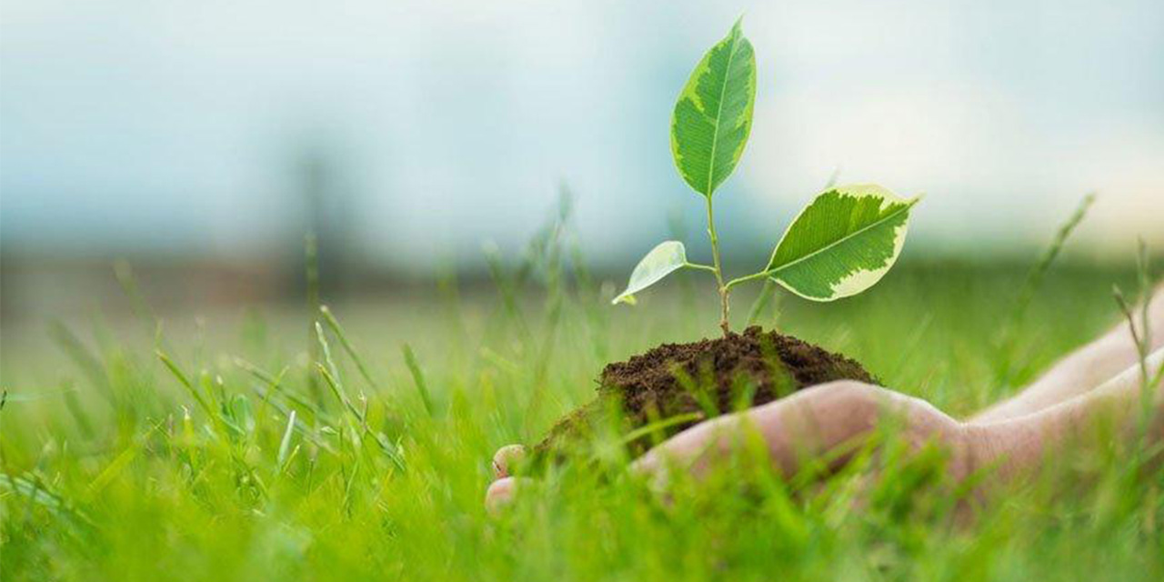 Dünya Çevre Günü mesajları 2020