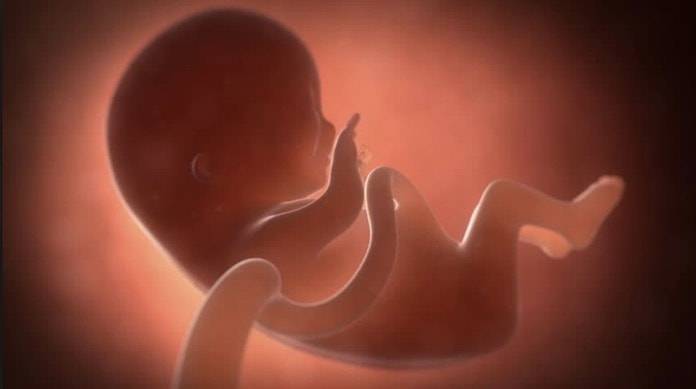 fetus-in-fetus-696x389.jpg