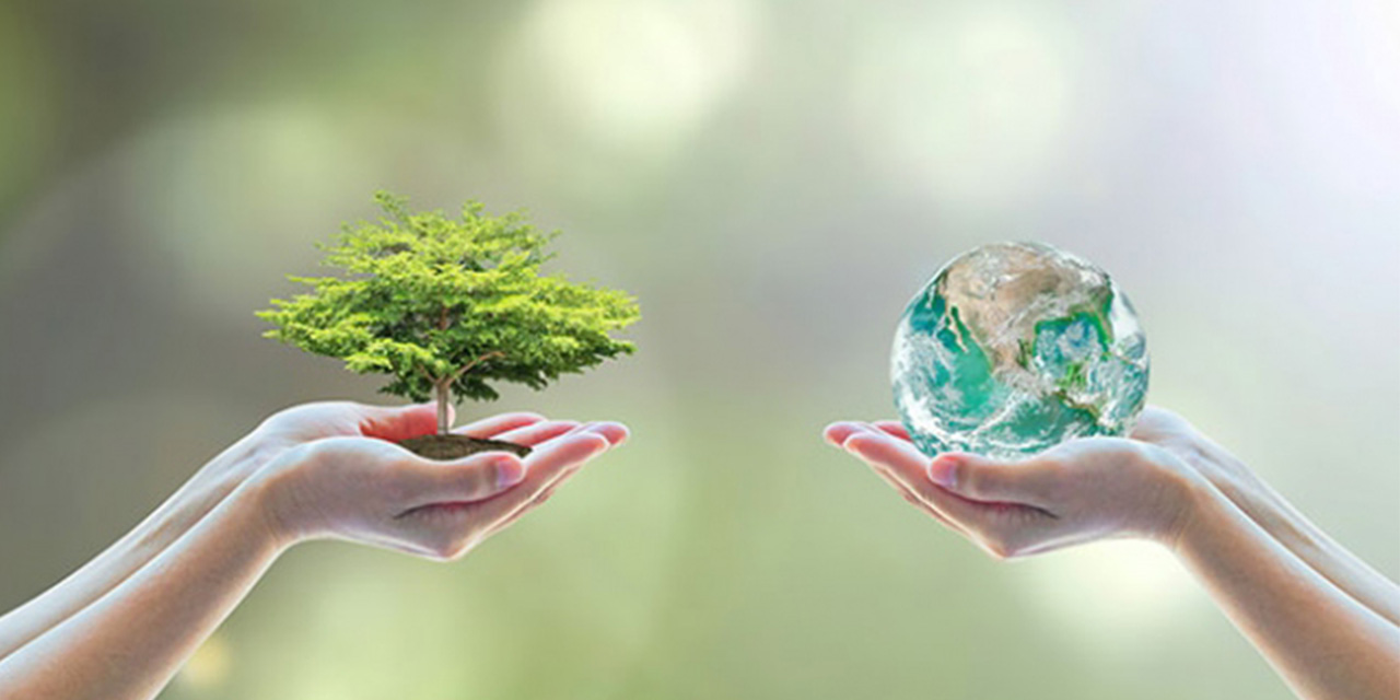 Dünya Çevre Günü nedir?