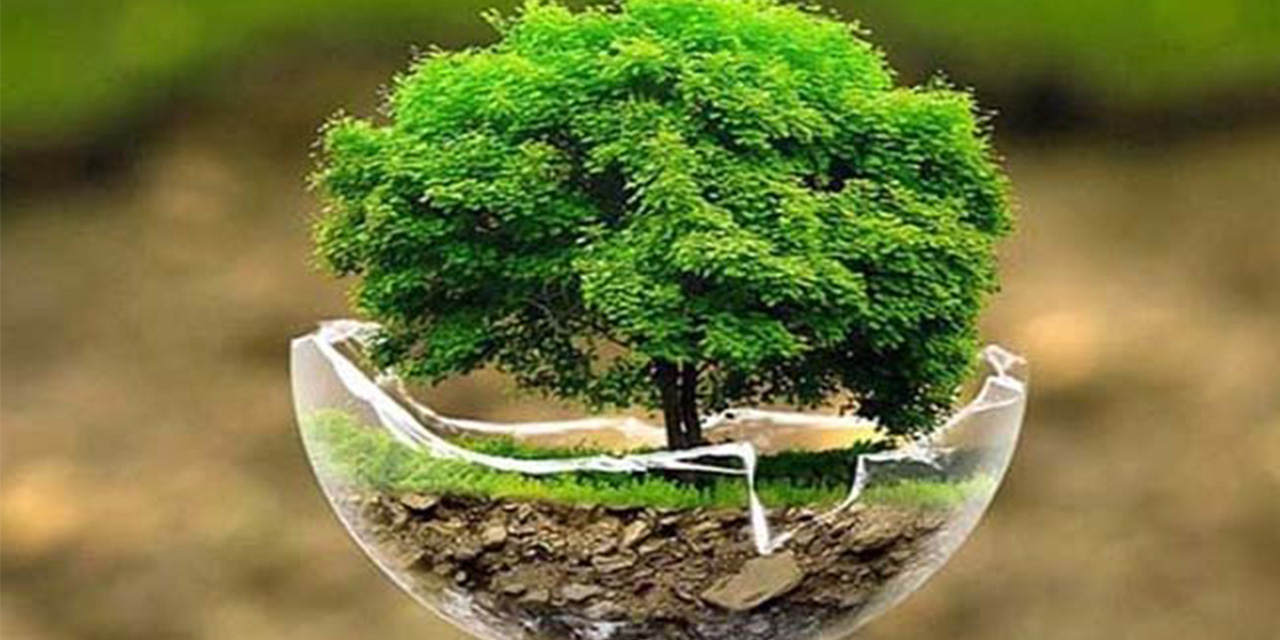 Dünya Çevre Günü mesajları 2020