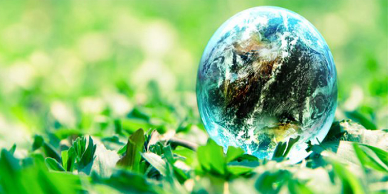 Dünya Çevre Günü nedir?