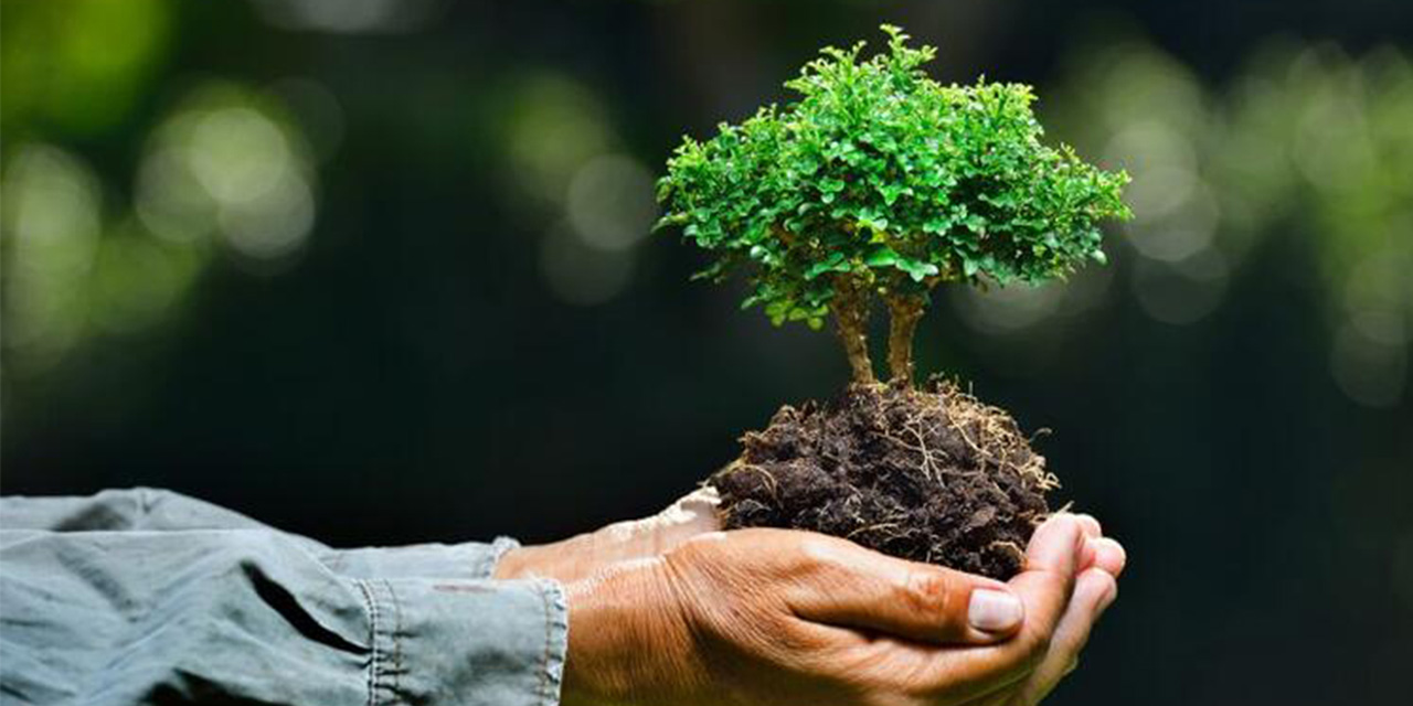 Dünya Çevre Günü mesajları 2020