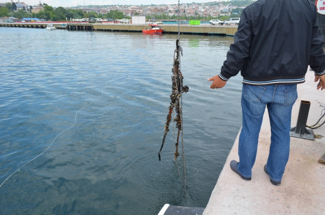 Denizden demir yığını çıktı