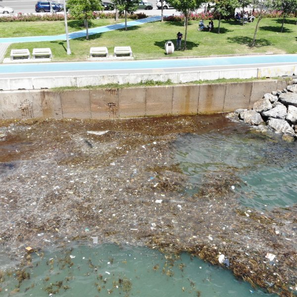 Caddebostan sahilinde kirlilik korkunç boyuta ulaştı