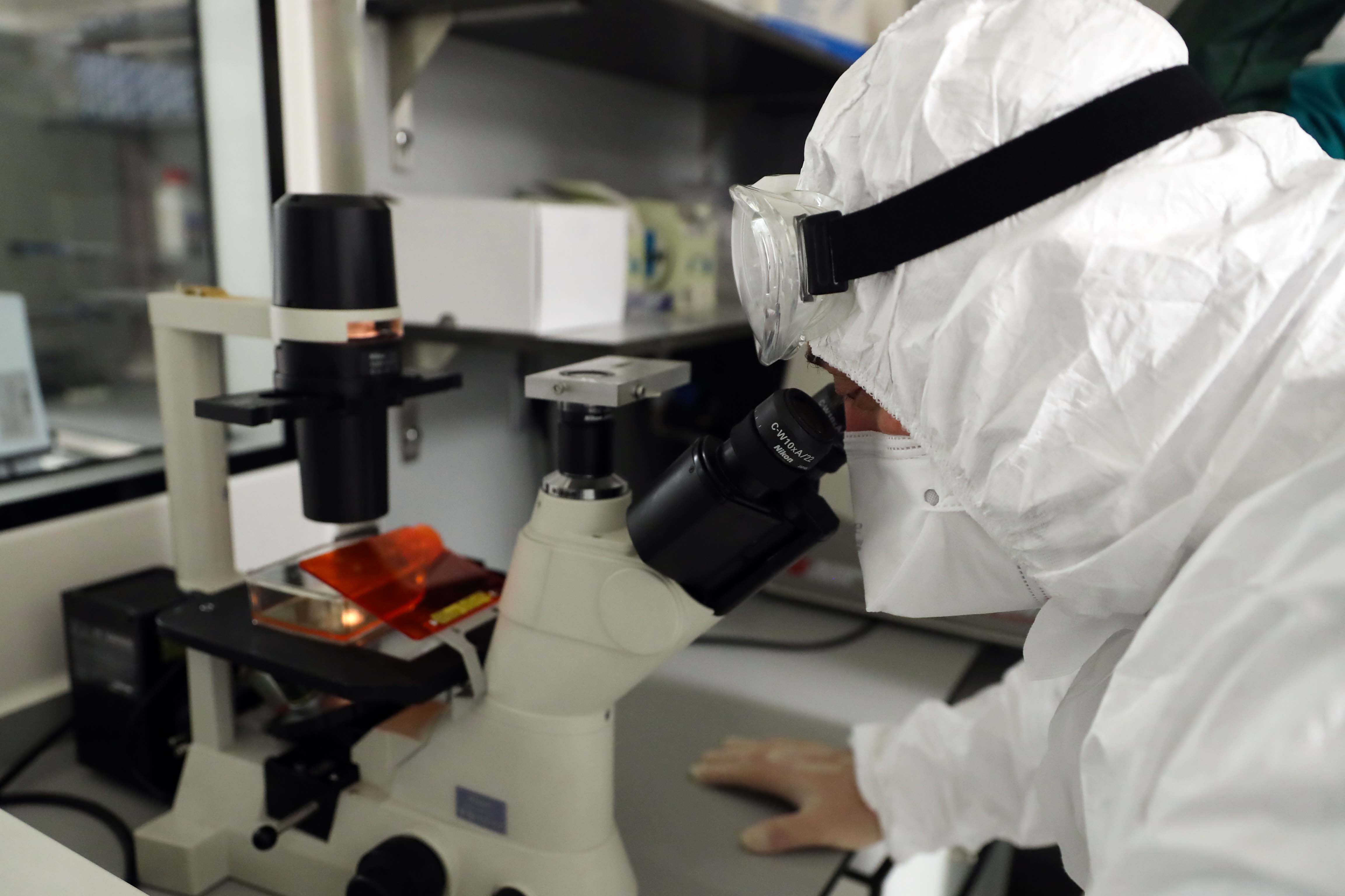 Bakan Varank Kovid-19 ilacı için konuştu: Hayvan deneyleri başlıyor