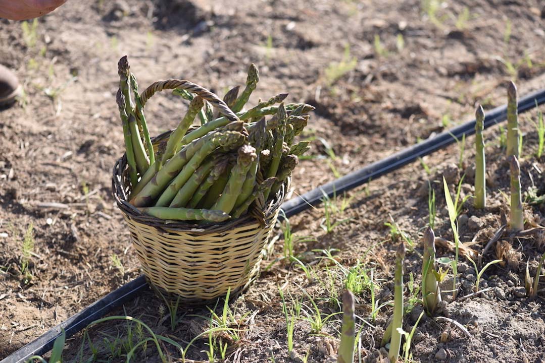 Ayak ağrısına ne iyi gelir? Ayak neden ağrır? Ayak ağrısı nasıl geçer?