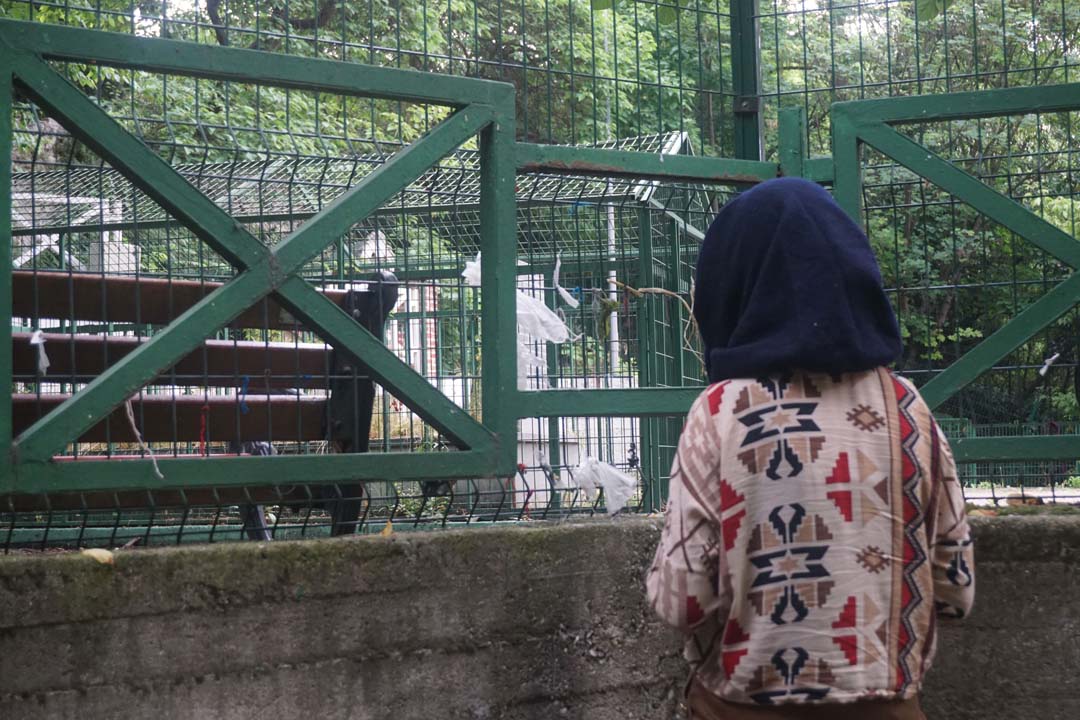 Bakırköy'deki Zuhuratbaba türbesine LGS öncesi ziyaretçi akını!