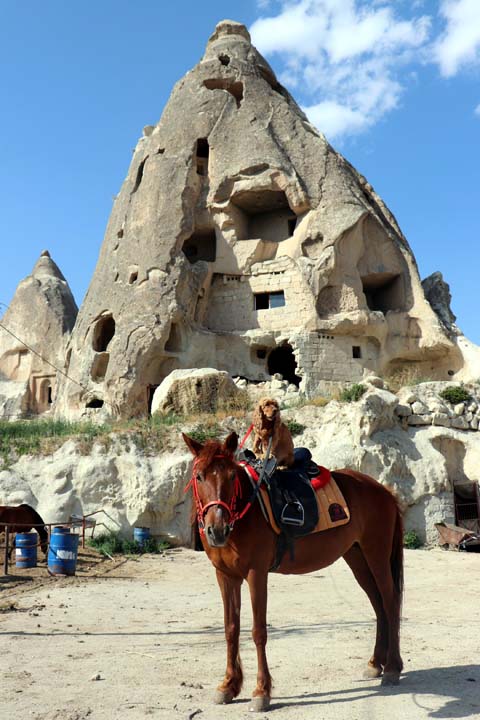 14 yaşındaki köpeğin at sürme keyfi görenleri hayrete düşürdü!