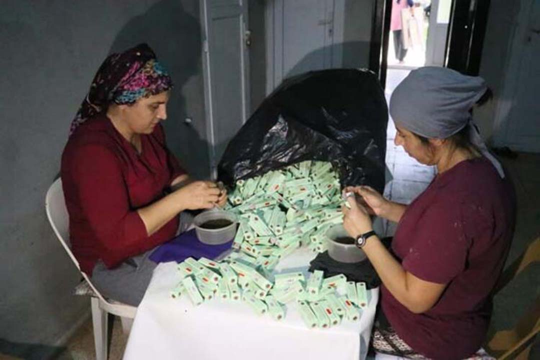 Hatay'da üretilen ''faydalı böcekler'' yurt dışına satılıyor!