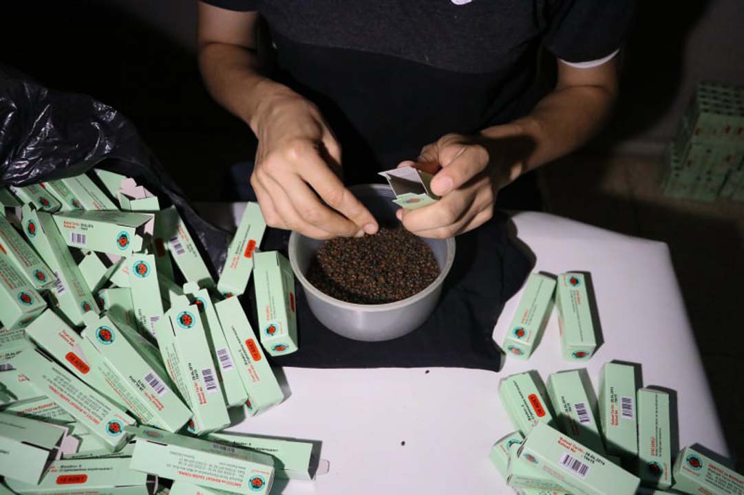 Hatay'da üretilen ''faydalı böcekler'' yurt dışına satılıyor!