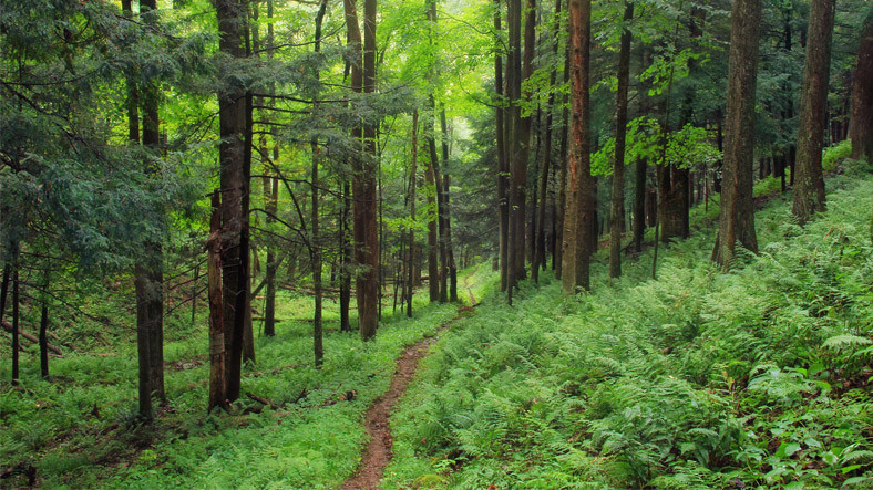 AK Parti'den 34 maddelik yeni kanun teklifi! Bunu yapanlar yandı