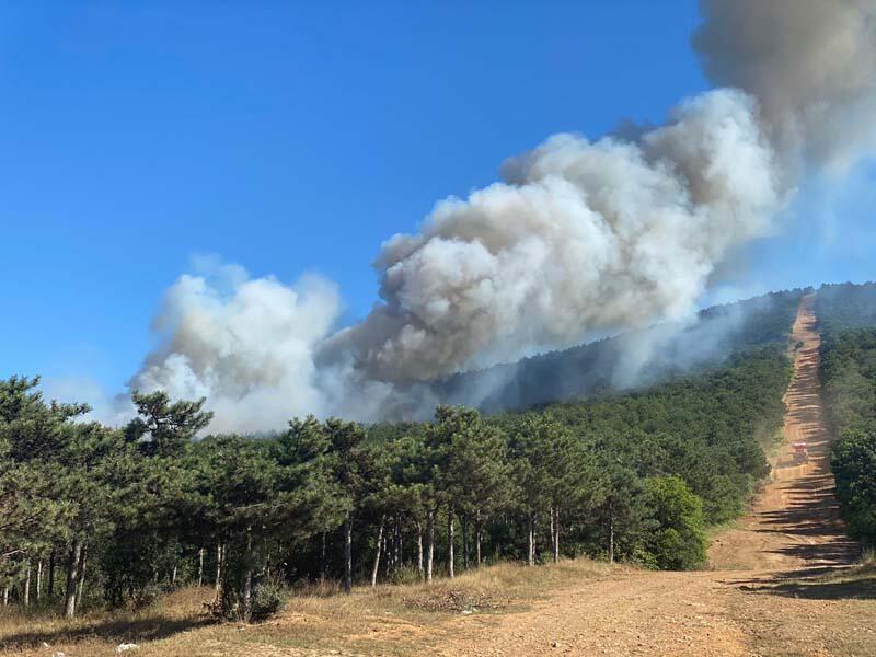 Kayışdağı'nda orman yangını! Ekiplerin müdahalesi sürüyor