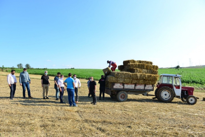 Belediyenin tarlalarından üreticilere yem bitkisi