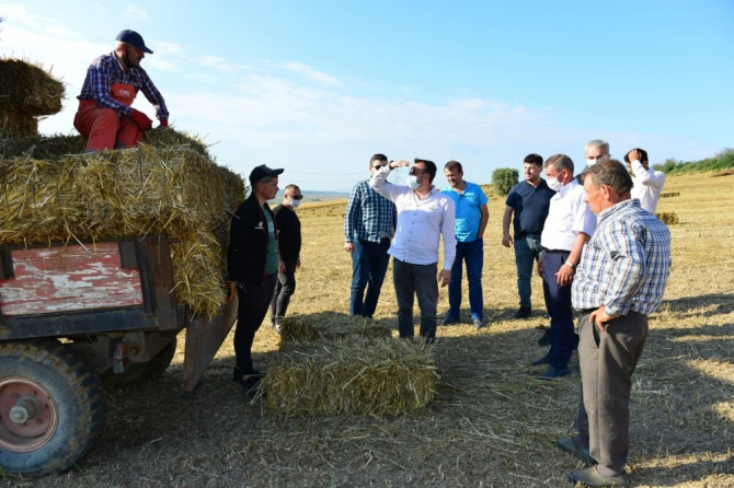 Belediyenin tarlalarından üreticilere yem bitkisi