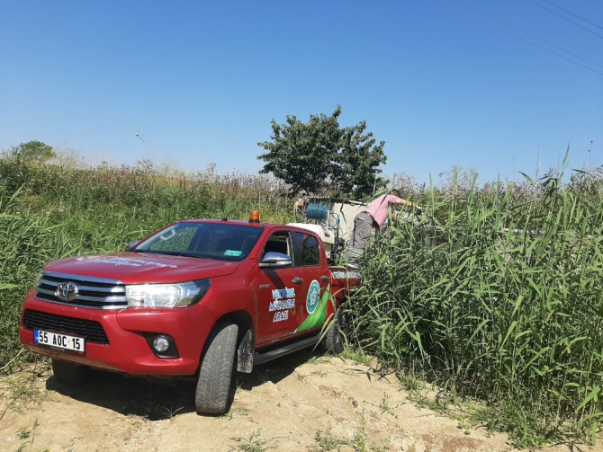 Şehrin her noktası ilaçlanıyor