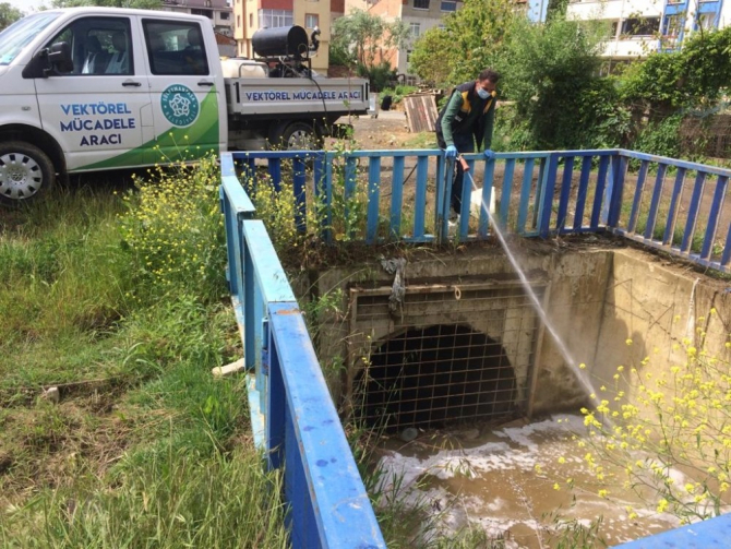 Şehrin her noktası ilaçlanıyor