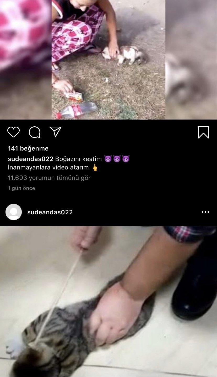 Sude Andaş'ın hayvanlara işkence etmesi sosyal medyayı ayaklandırdı