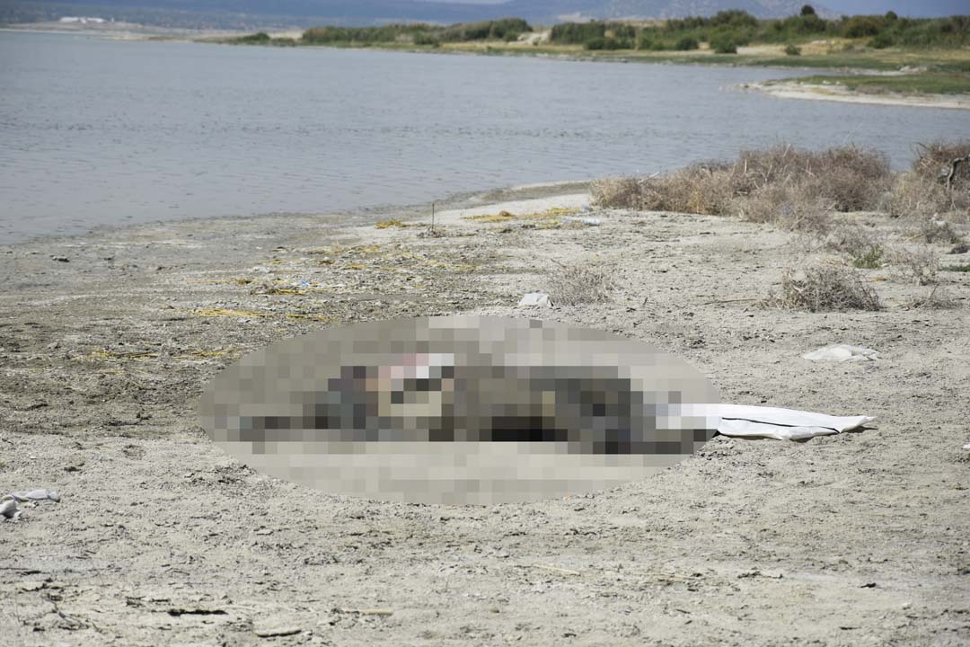 Bir haftadır kayıptı! Yamaç paraşütçüleri ihbarıyla acı gerçek ortaya çıktı