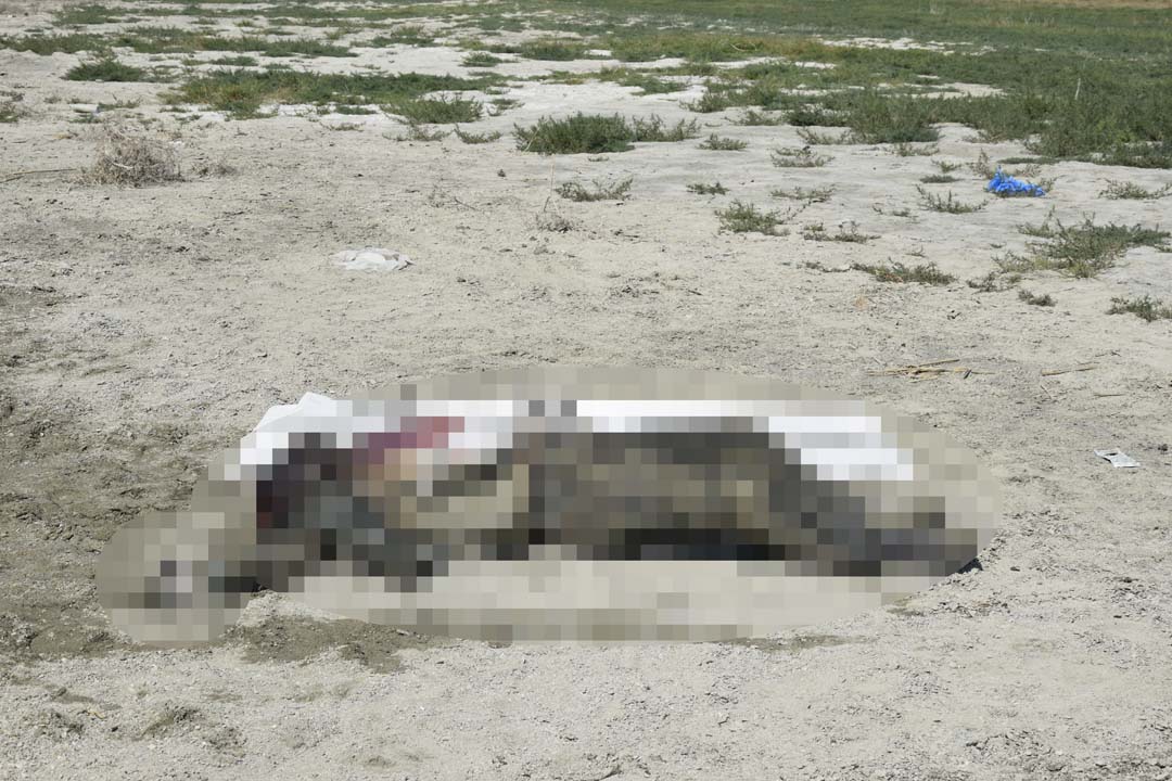 Bir haftadır kayıptı! Yamaç paraşütçüleri ihbarıyla acı gerçek ortaya çıktı