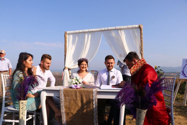 Tekirdağ'da lavanta tarlasında nikah
