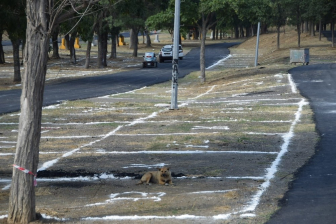 Kurban satış noktasında hazırlıklar tamamlandı