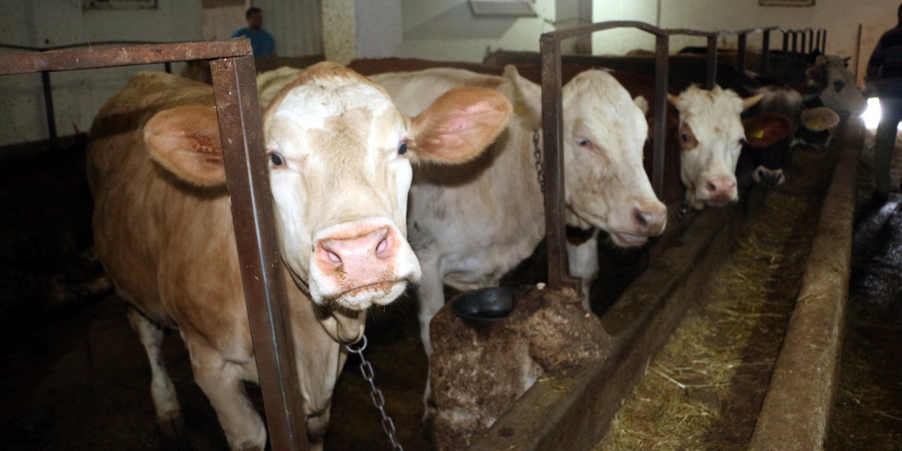 Kredi kartıyla ya da taksitle kurban kesilir mi?