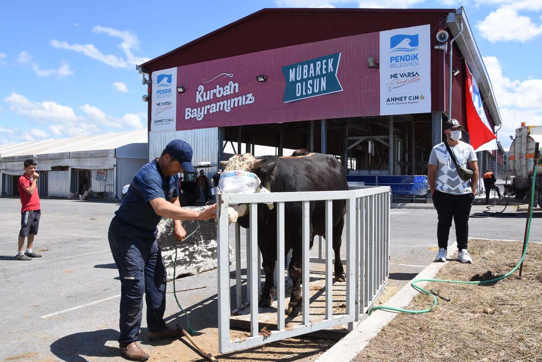 Pendik'te 'kurban pazarı' hizmete açıldı!