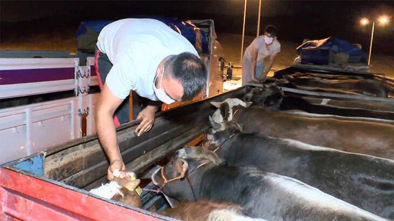 2020 kurban bayramı resmi tatil kaç gün?