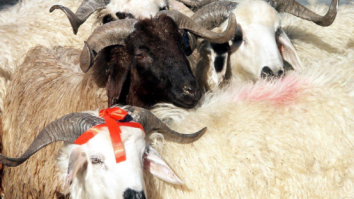 Kurban namazı nedir, nasıl kılınır? Kurban namazı farz mıdır?