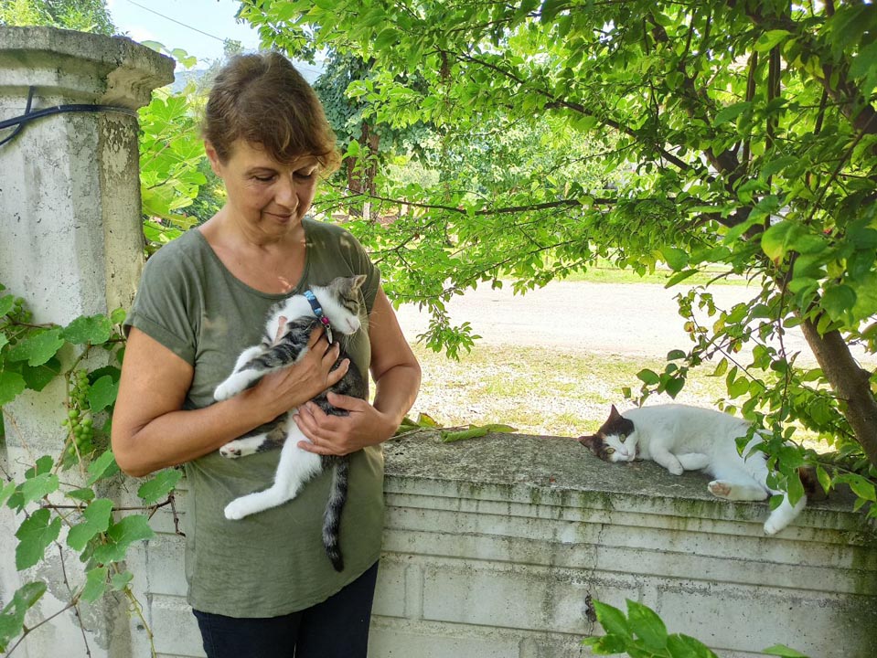 Engelli kedi gece yarısı kimliği belirsiz kişilerce silahla öldürüldü