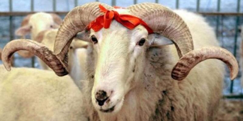 Bilim Kurulu üyesi uyardı: Kurban Bayramı ciddi bir eşik!