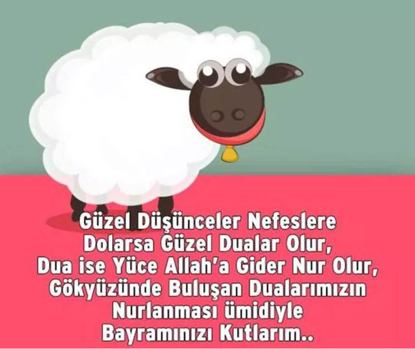 Resimli Kurban Bayramı mesajları 2022 | Facebook, WhatsApp için kurban bayramı mesajları, sözleri 2022