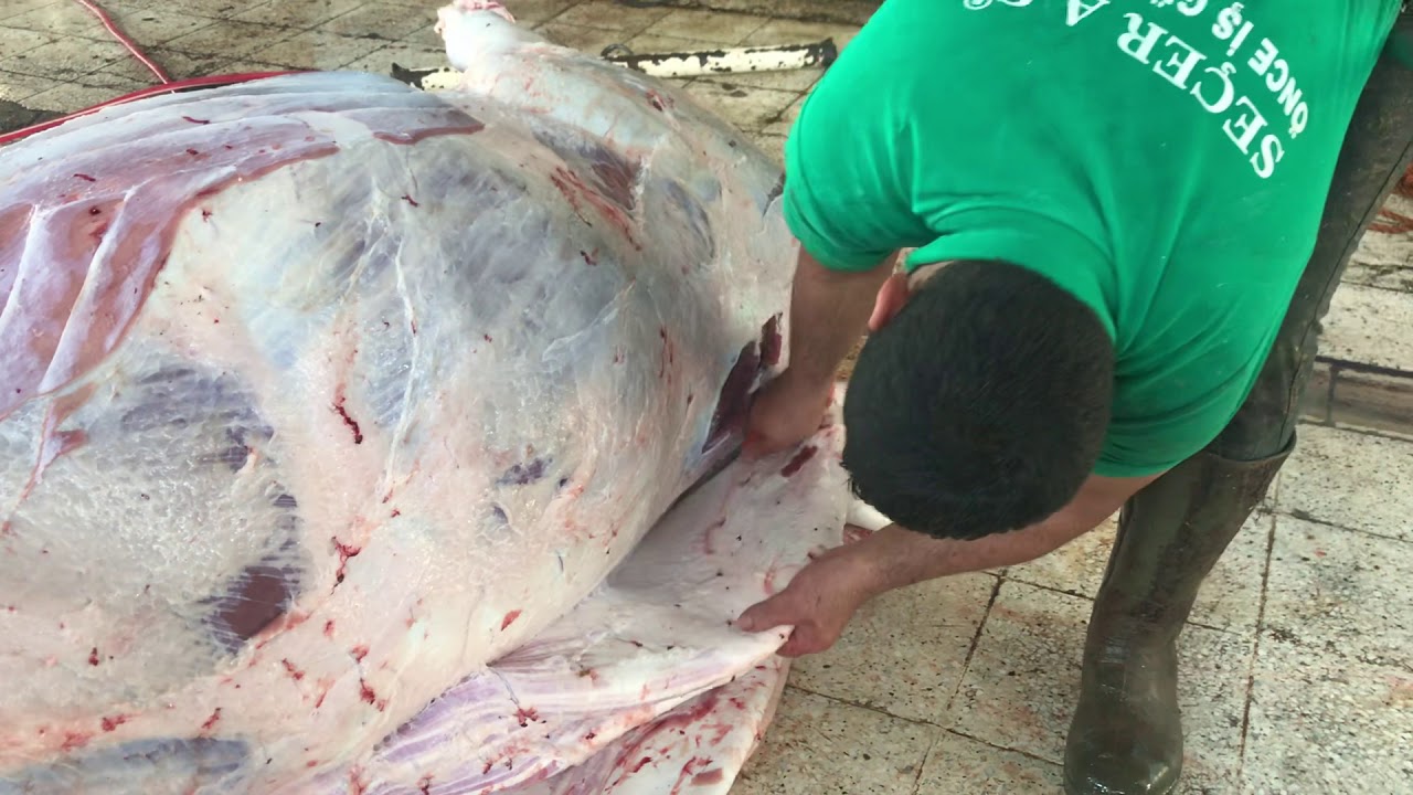 Kurban namazı nasıl kılınır? Kurban namazı kaç rekat?