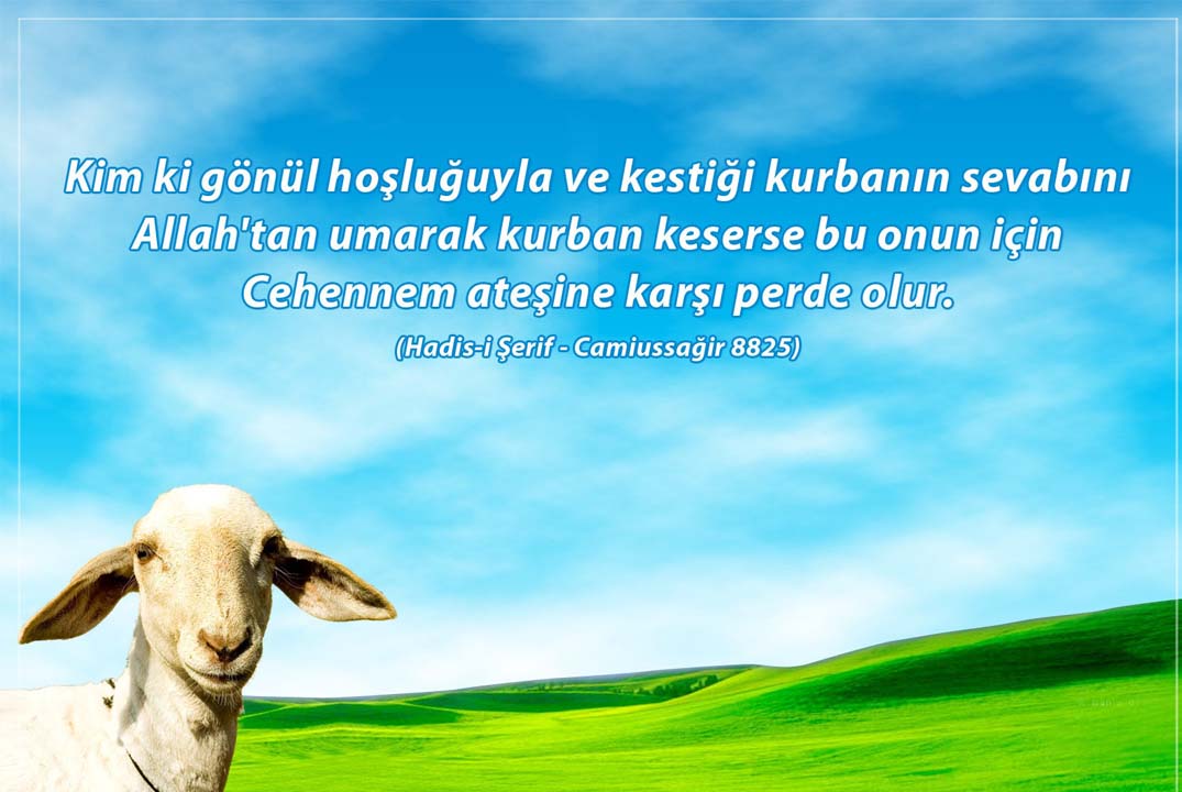Kurban Bayramı mesajları kısa, anlamlı, uzun 2022 | Sevdiklerinize gönderebileceğiniz en güzel resimli mesajlar