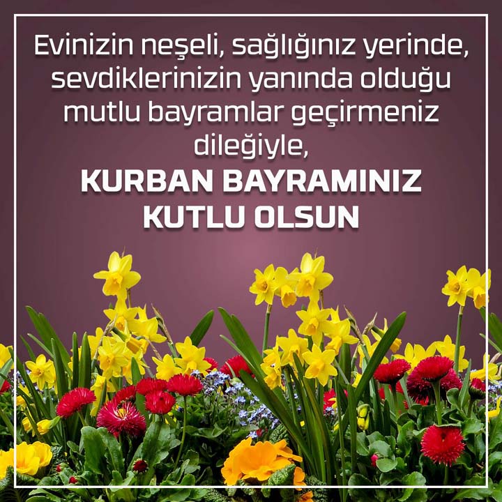Kurban Bayramı mesajları kısa, anlamlı, uzun 2022 | Sevdiklerinize gönderebileceğiniz en güzel resimli mesajlar