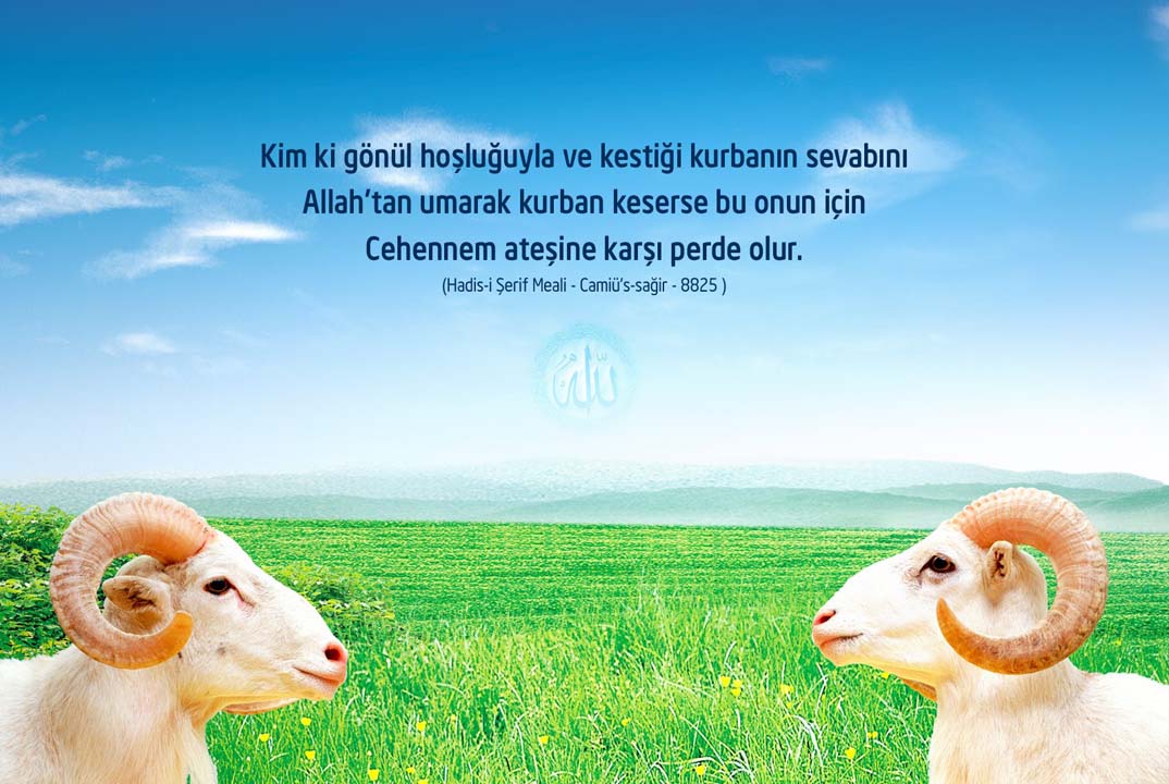 Kurban Bayramı mesajları kısa, anlamlı, uzun 2022 | Sevdiklerinize gönderebileceğiniz en güzel resimli mesajlar
