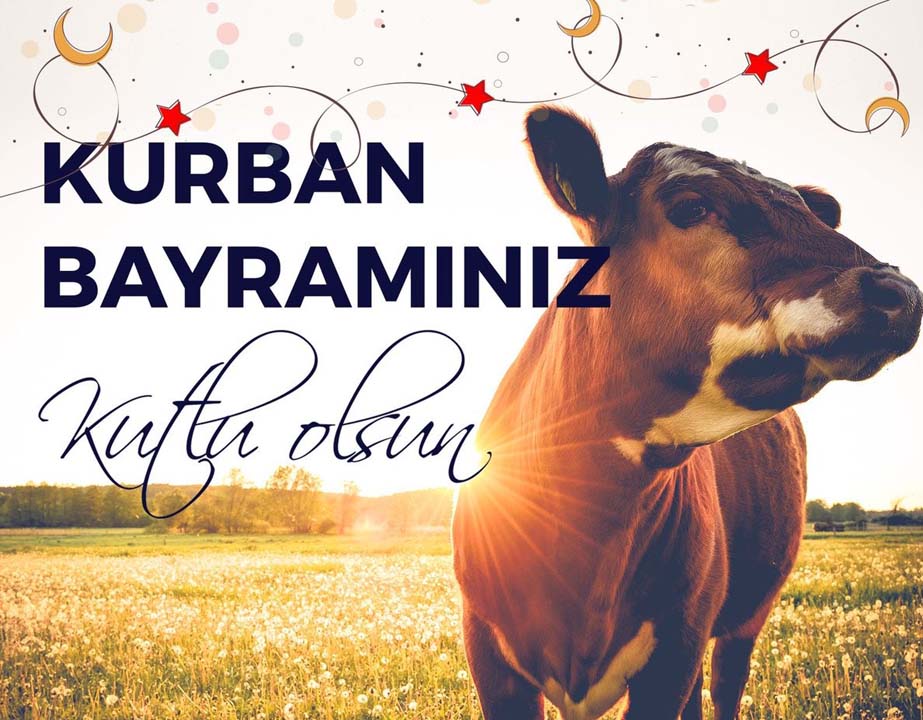 Kurban Bayramı mesajları kısa, anlamlı, uzun 2022 | Sevdiklerinize gönderebileceğiniz en güzel resimli mesajlar