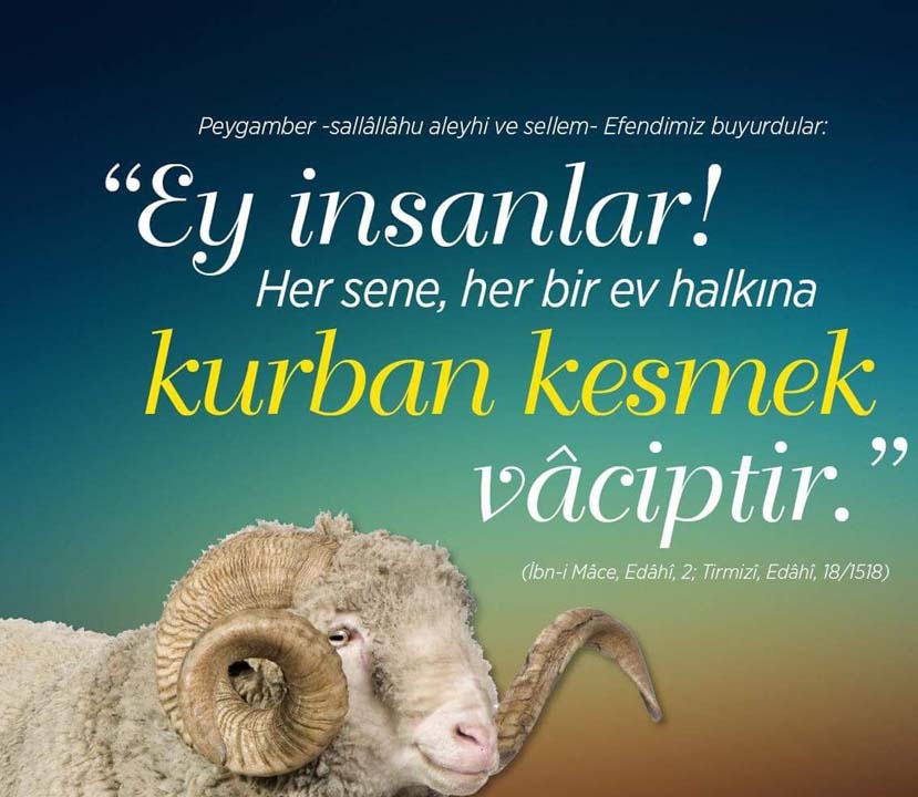 Kurban Bayramı mesajları kısa, anlamlı, uzun 2022 | Sevdiklerinize gönderebileceğiniz en güzel resimli mesajlar