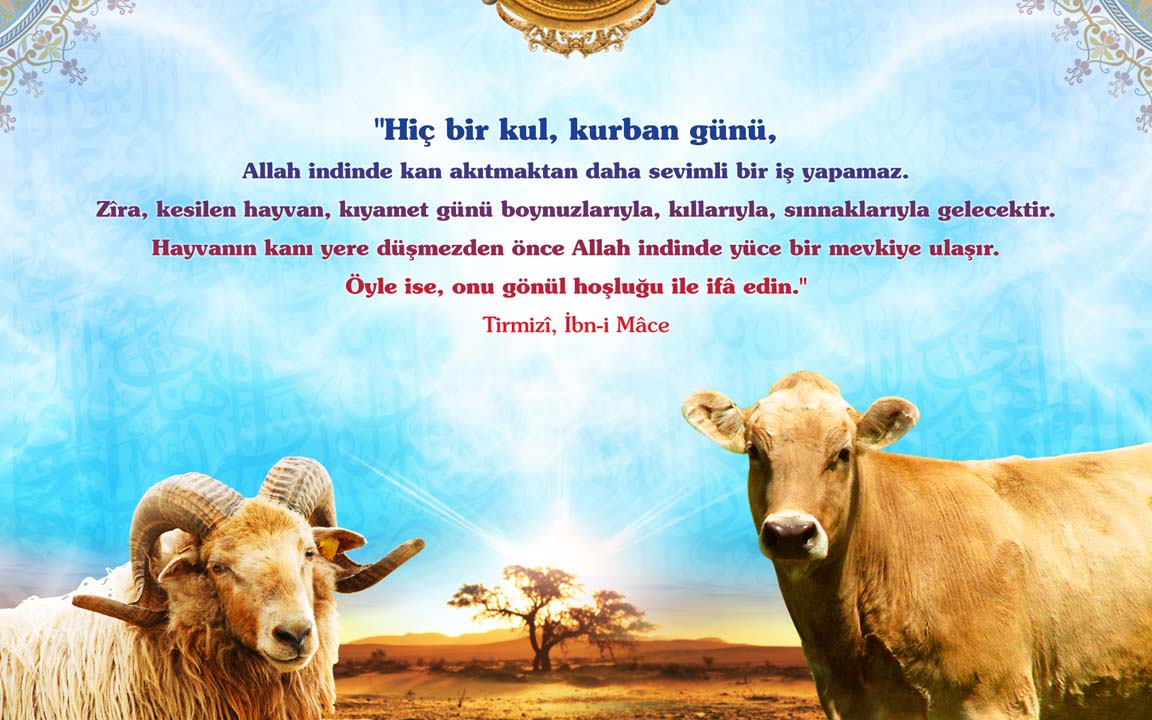 Kurban Bayramı mesajları kısa, anlamlı, uzun 2022 | Sevdiklerinize gönderebileceğiniz en güzel resimli mesajlar