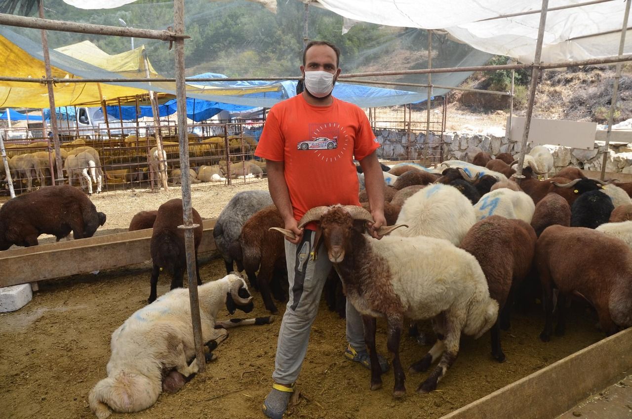 Kurban Bayramı mesajları kısa, anlamlı, uzun 2022 | Sevdiklerinize gönderebileceğiniz en güzel resimli mesajlar