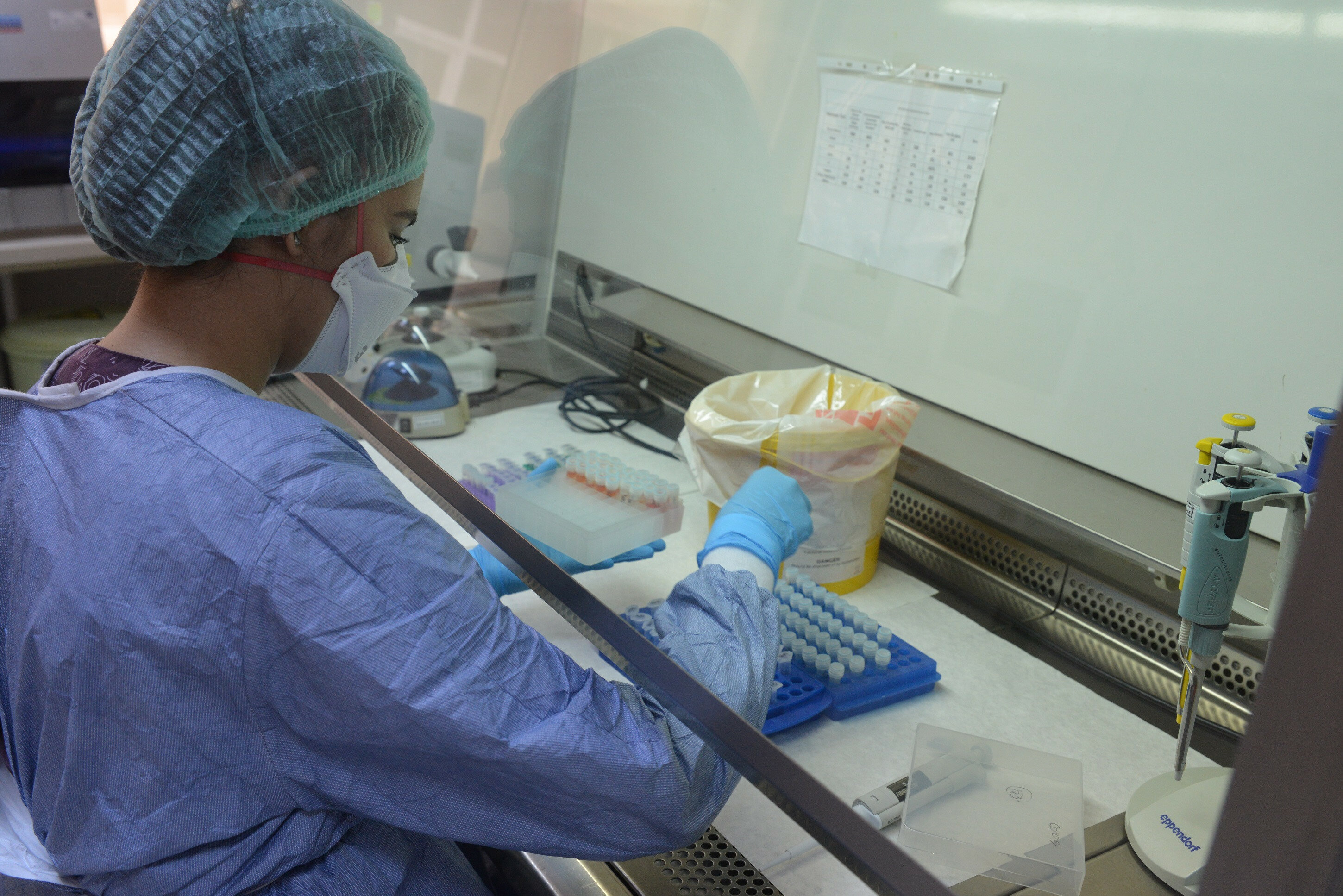 Koronavirüs Türkiye'de mutasyona mı uğradı? Bir ay sonra açıklanacak