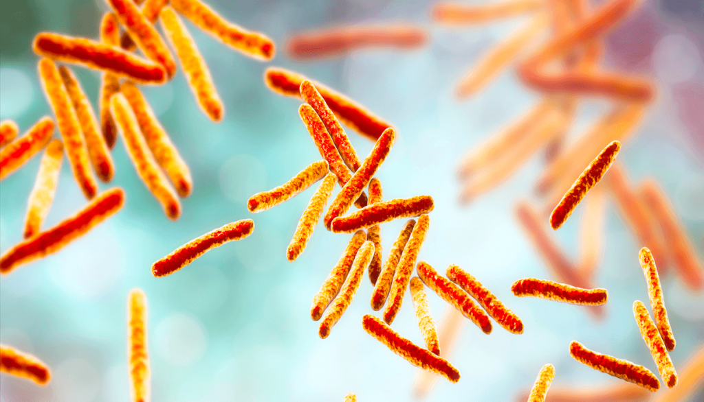 Tüberküloz hastalığı nasıl bulaşır? Tedavisi nedir? 