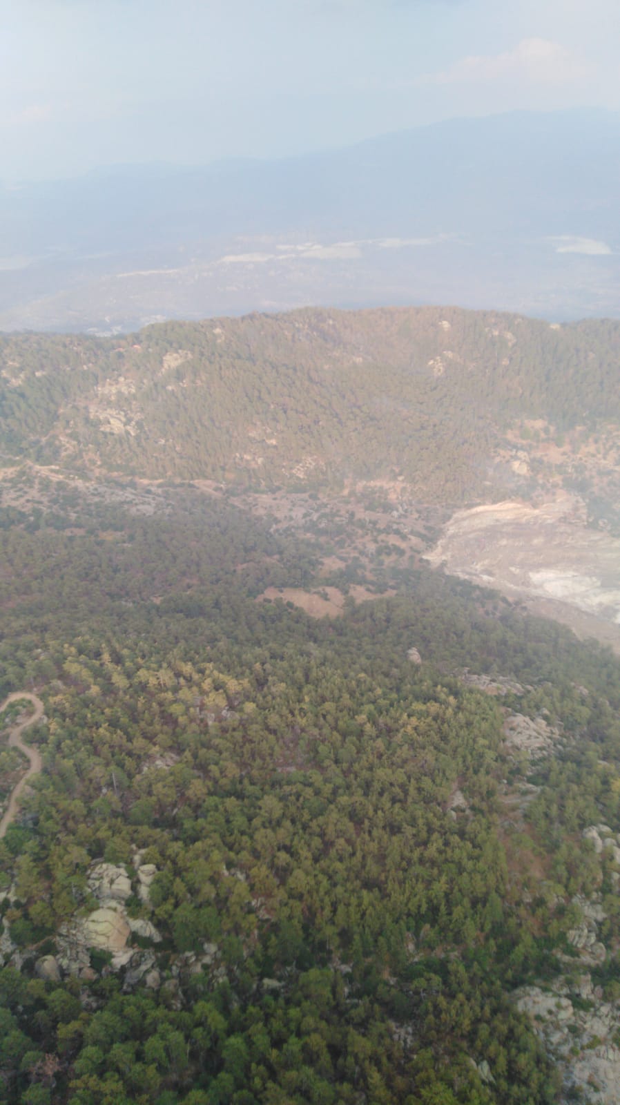Aydın'dan Muğla'ya sıçrayan yangın kontrol altına alındı