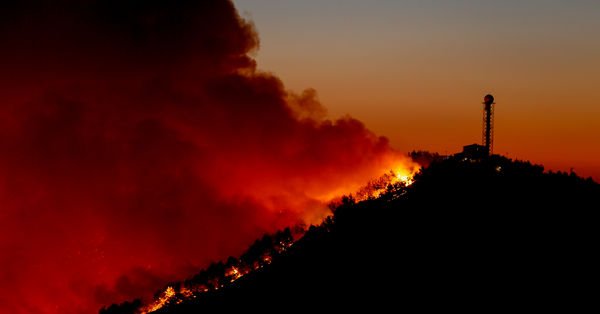 Bakan Pakdemirli açıkladı! İzmir'deki orman yangını ile ilgili 1 gözaltı