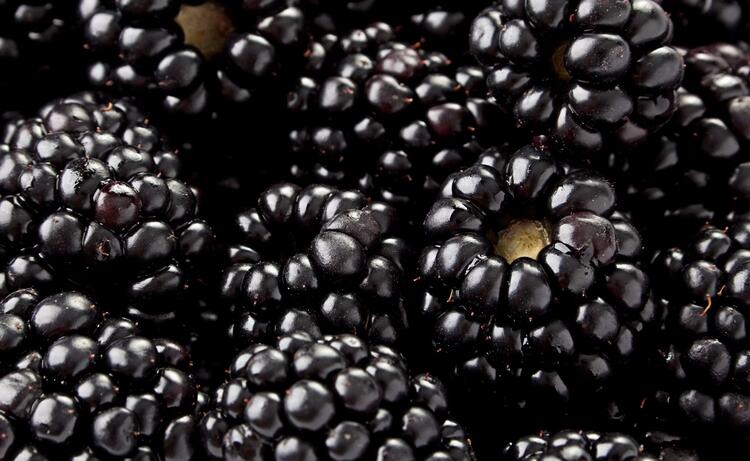 Ne kadar yerseniz yiyin kilo aldırmayan yiyecekler! İşte doğru bilinen yanlışlar!670