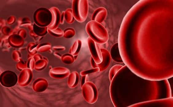 Anemi nedir? Kansızlık belirtileri ve tedavi yöntemleri nelerdir?