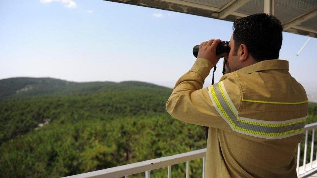 OGM işçi alımı 2020 başvurusu nasıl yapılır? Orman Genel Müdürlüğü başvuru ekranı