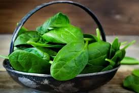 Demir eksikliğine iyi gelen yiyecekler | Demir eksikliğine ne iyi gelir?