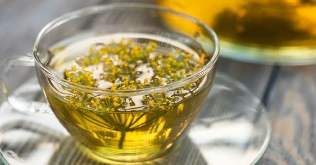 Mide bulantısına iyi gelen yiyecekler | Rezene Mide bulantısına iyi gelir mi?